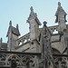 A photo on Flickr