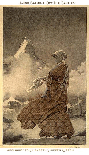 Glacier Walking