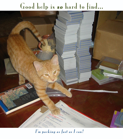 packing cat